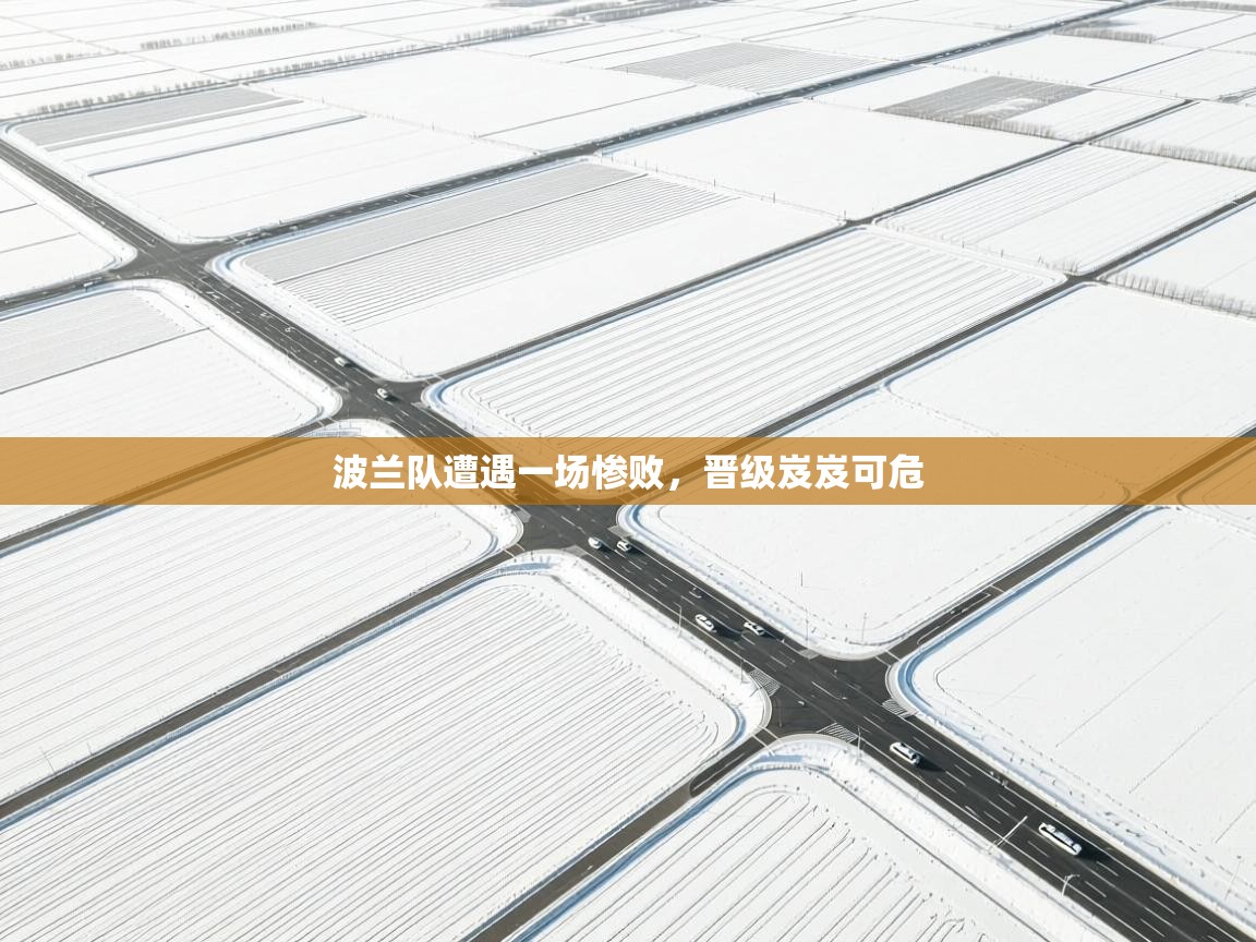 波兰队遭遇一场惨败，晋级岌岌可危  第2张