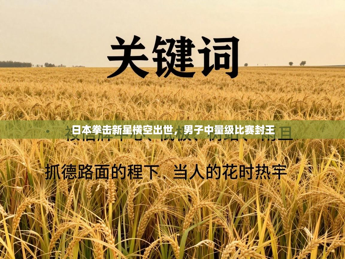 日本拳击新星横空出世，男子中量级比赛封王  第2张