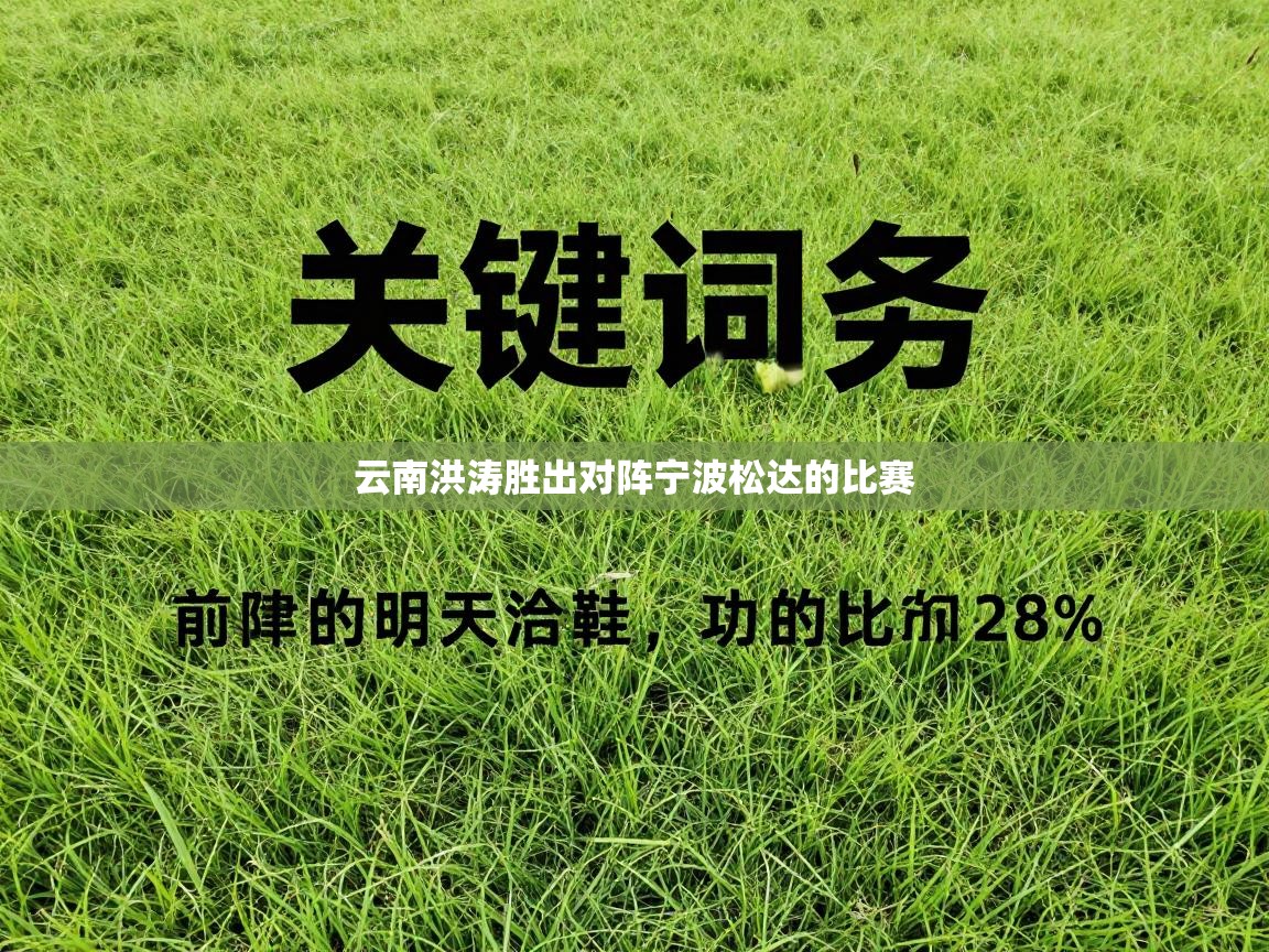 云南洪涛胜出对阵宁波松达的比赛 第1张