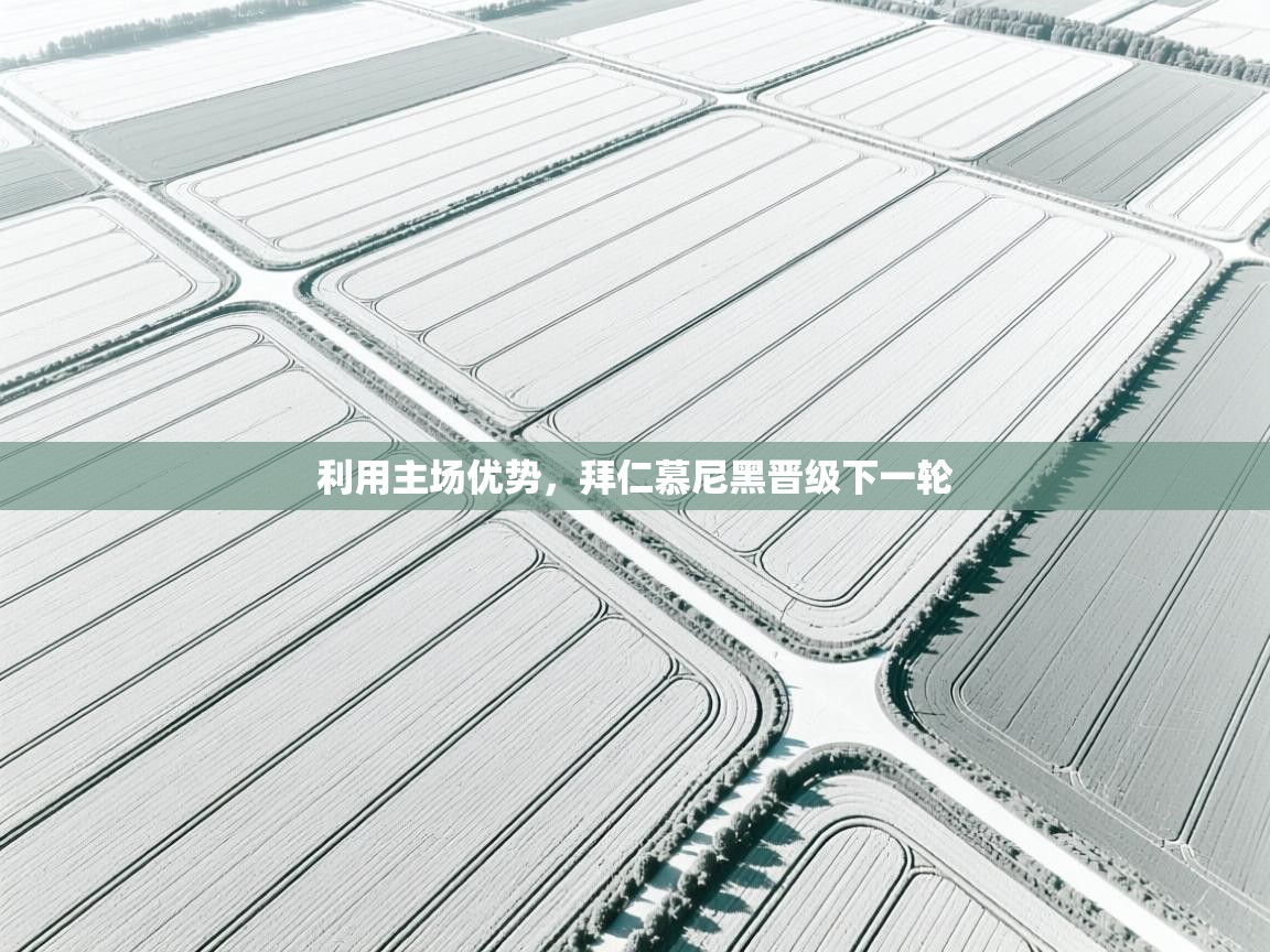 利用主场优势,拜仁慕尼黑晋级下一轮 第1张