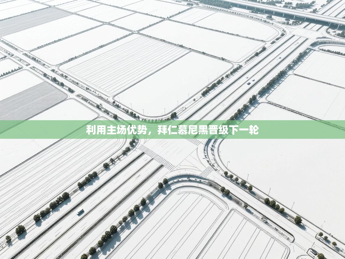 利用主场优势,拜仁慕尼黑晋级下一轮 第2张