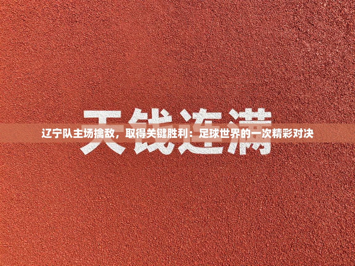 辽宁队主场擒敌,取得关键胜利:足球世界的一次精彩对决 第1张