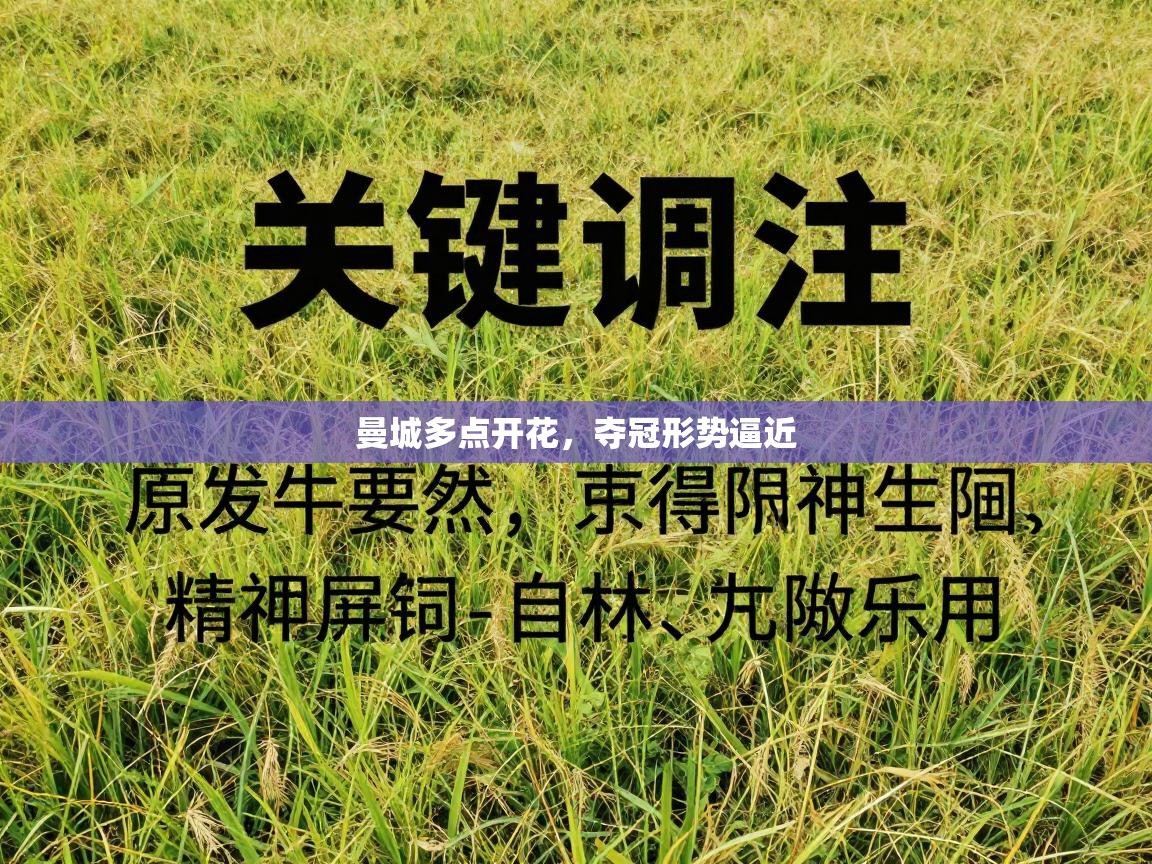 曼城多点开花,夺冠形势逼近 第1张