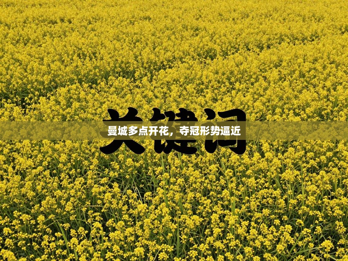 曼城多点开花,夺冠形势逼近 第2张